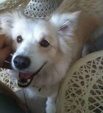 Meggy says thanks for your interest & Support.